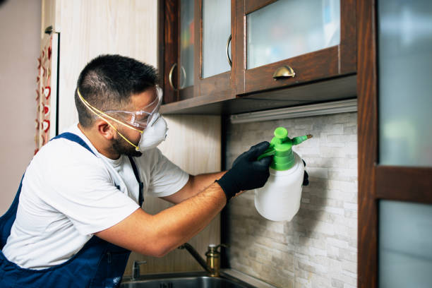 Best Local Pest Control Services  in Cleveland, NC