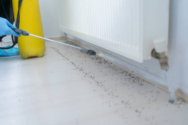 Best Pest Inspection Near Me  in Cleveland, NC