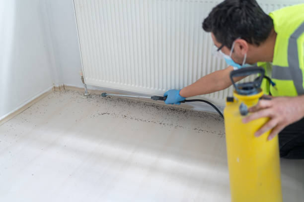 Best Termite Control Services  in Cleveland, NC