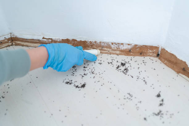 Best Pest Removal Services  in Cleveland, NC